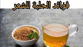 فوائد الحلبة للشعر