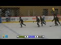 NCAA Women's Hockey vs Aurora 12/1/18