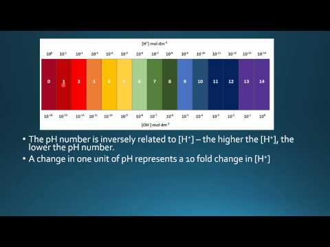 Video: Finns någon mekanism som motstår förändringar i ph?