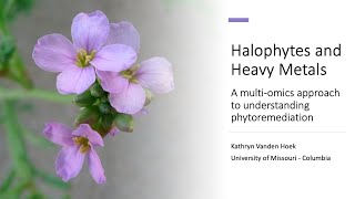 Halophytes and Heavy Metals: A multi-omics approach to understanding phytoremediation