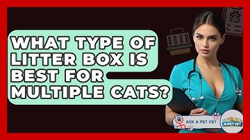 What Type Of Litter Box Is Best For Multiple Cats? - Ask A Pet Vet