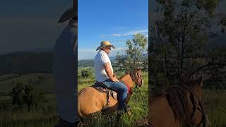 SÍTIO PANORÂMICO ALTO DA COLINA 17,7 HECTARES PRÓXIMO AO SANTUÁRIO R$ 4,4 MILHÕES - Código: 2625