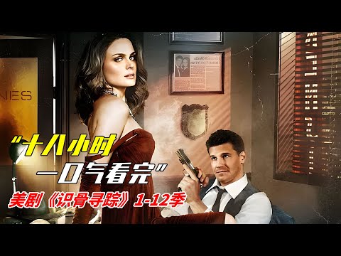 十八小時！一口氣看完經典美劇《識骨尋蹤》一至十二季！（下）|高能美劇《識骨尋蹤》|美劇解說推薦《Bones》