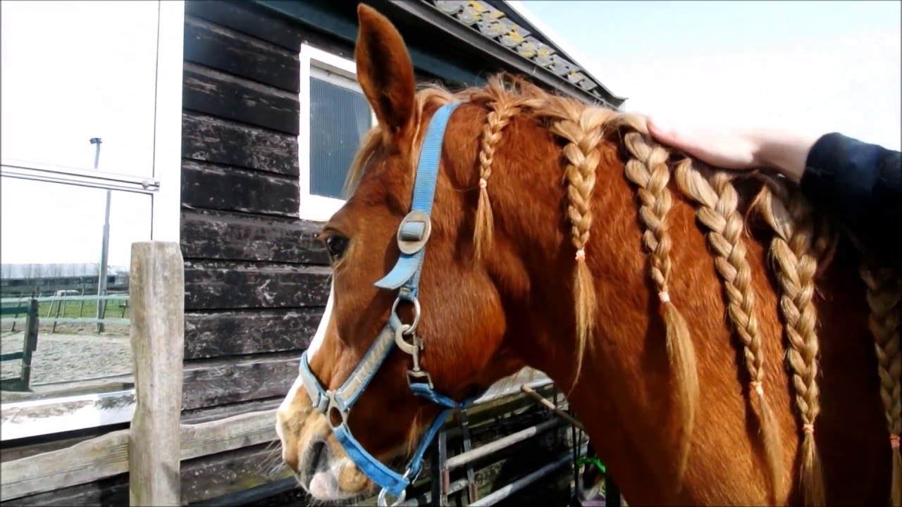 [Katja] Raindrop Technique YouTube