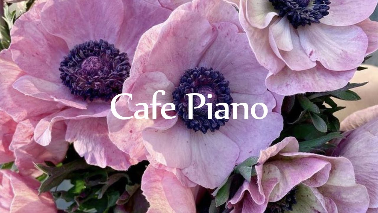 감성적이고 따뜻한 뉴에이지 베스트 피아노 모음 l GRASS COTTON+ YouTube