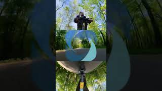 Солнечный лес 1 #видео360 #съёмка360 #insta360