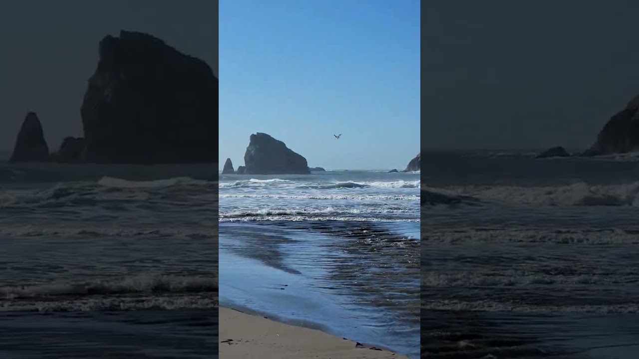 Long Necked Ocean Honker 