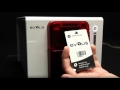 Evolis zenius id card printer  how to clean your printer