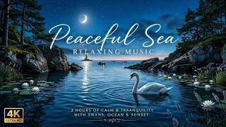 Evening Sea & Swans 🦢 Soft Relaxing Music | 4K Calm Sunset Ambience (2 Hours) screenshot 2
