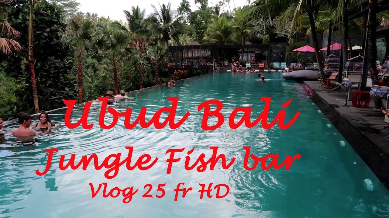 arrivée à Ubud et détente au Jungle Fish bar Ubud Bali vlog fr HD YouTube