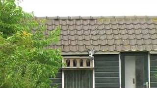 Aankomst Boxtel J.d. 18-07-09