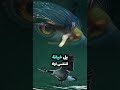 عندما تخون لا تظن ان الاثر سيمحى بسهولة الخيانة لا تترك فقط جروحا على الجسد بل تكتب على القلب بدم