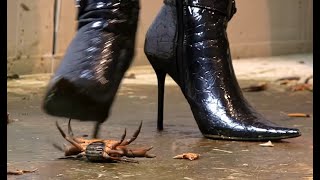 N90 Bug Crush Teaser - Patent Leather Boots And Crabs