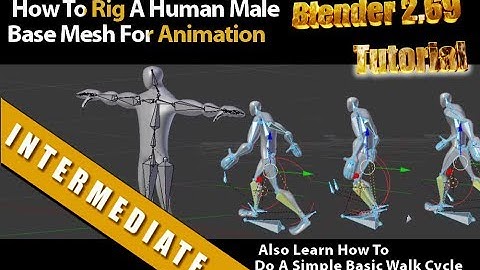 How To Rig A Human Male Base Mesh For Animation In Blender 2.69