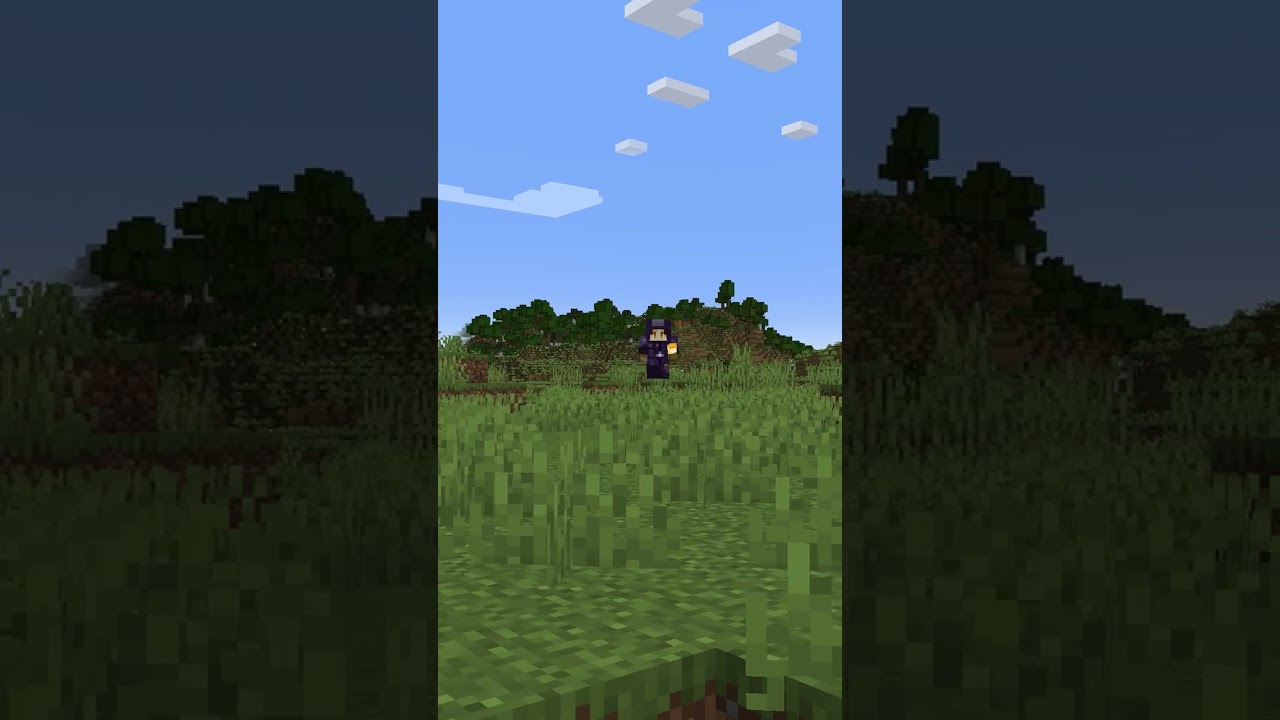 This Minecraft Armor Didn't Exist 20 Seconds Ago