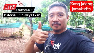 Curhat Usaha Budidaya Lele Bareng Kang Jajang