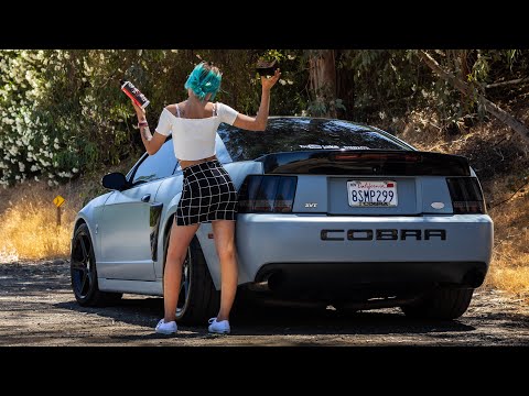 Cobra Mustang Build // SVT Cobra Walk Around // Wrapped New Edge Mustang