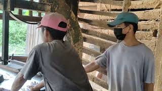 How To Cut Wood In Saw Mill Teak , 32 ,22 Etc At Samziuram B Block . And Eat.