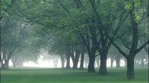 سورة البقرة بصوت القارئ محمد نزار مريش الدمشقي