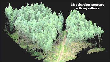 forest inventory with photogrammetric point cloud
