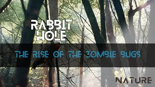RH E102 - The Rise of the Zombie Bugs