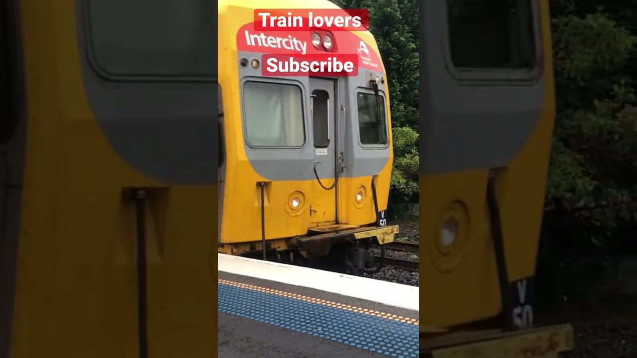 Sydney train 