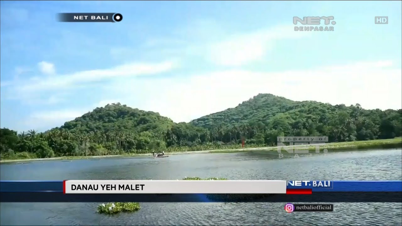 NET. BALI - BUNGA LOTUS DAN TERATAI MENAMBAH PESONA DANAU YEH MALET