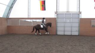 Ruby canter right