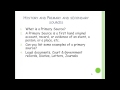 History Through Primary and Secondary Sources
