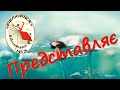 Анастасія Шевердіна &quot;Крамниця щастя&quot;. Буктрейлер.