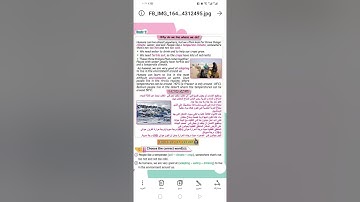 Second Term, grade 4,unit 7,lesson 2.