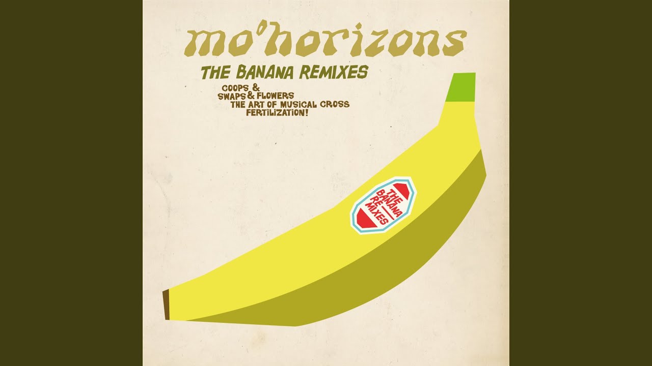 Avisado (Sono Rhizmo' Remix)