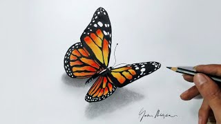 Cara menggambar 3D realist Kupu-kupu dengan Pensil warna