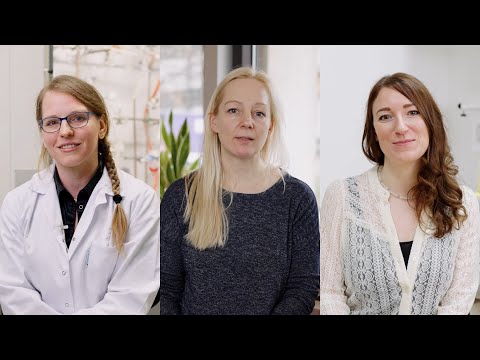 Internationaler Tag der Frauen und Mädchen in der Wissenschaft 2025 - video from FWF