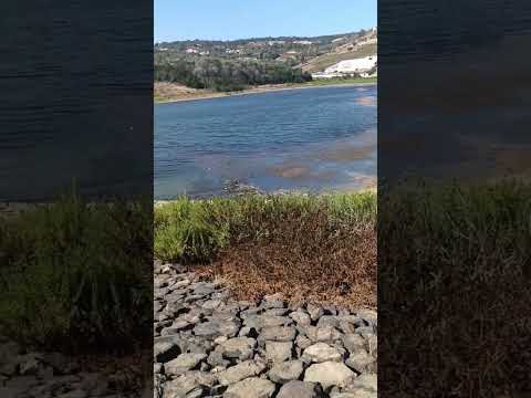 سد أمغاير بمدينة طنجة المغرب