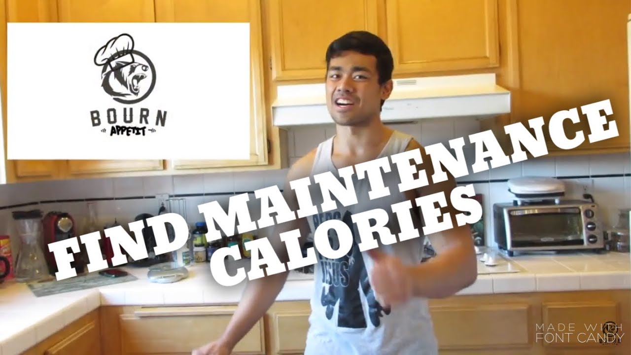 MAINTENANCE CALORIES | Weight Loss/Gain Pt.2 - YouTube