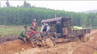 Full video: Vehicle carrying seedlings encounters rain and muddy road