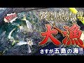 【番外編】五島の海で定置網漁体験！！まさかの高級魚と出会う！？