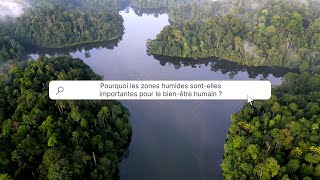 #Journée mondiale des zones humides by CIFOR-ICRAF 68 views 3 months ago 1 minute, 25 seconds
