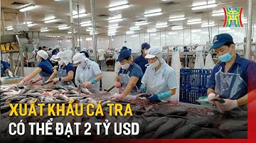 Xuất khẩu cá tra có thể đạt 2 tỷ USD | Tin tức