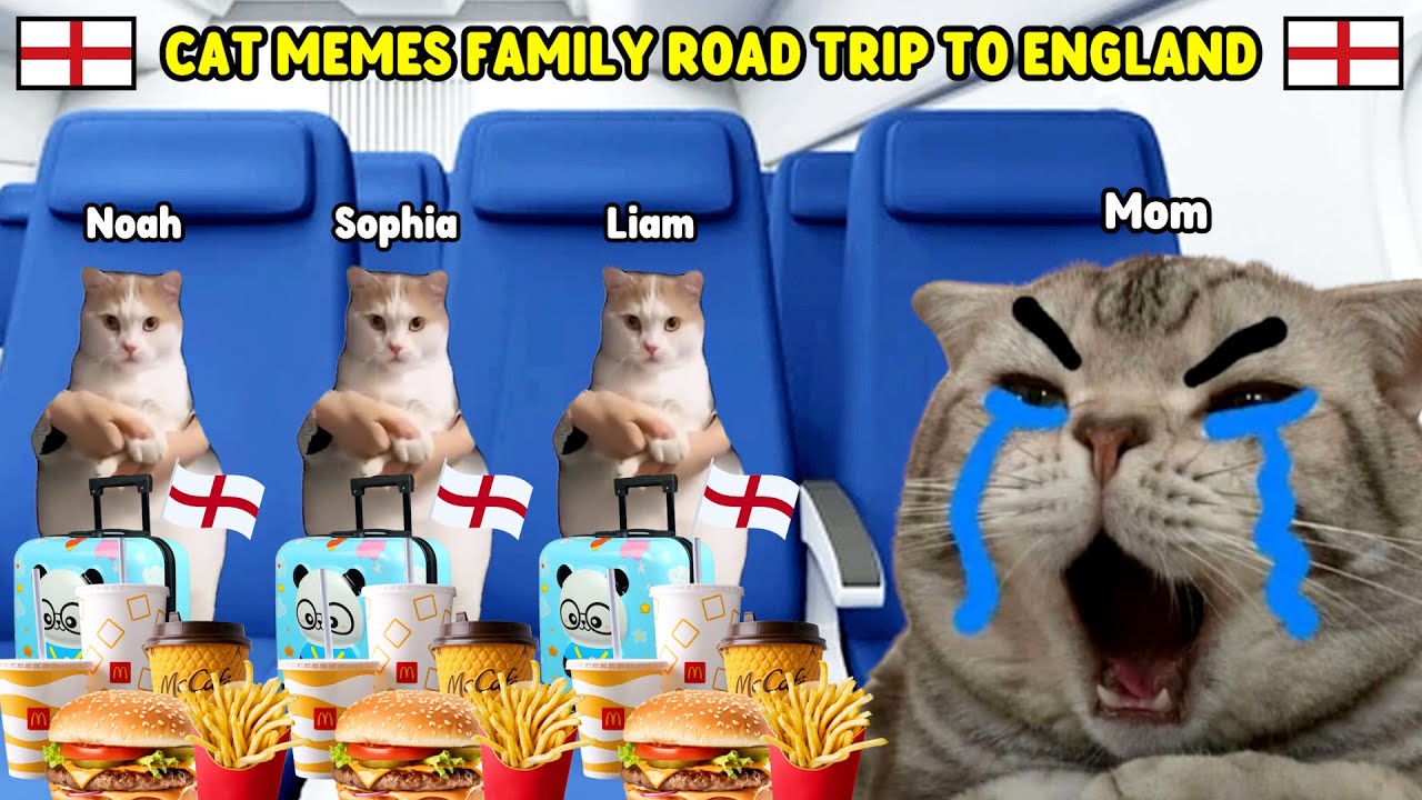 CAT MEMES FAMILY ROAD TRIP TO ENGLAND COMPILATION