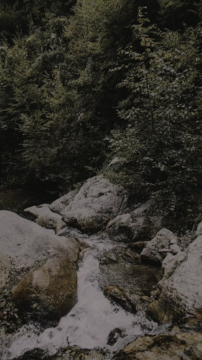 Menjaga kesetiaan #quotes #motivasi #shortvideo