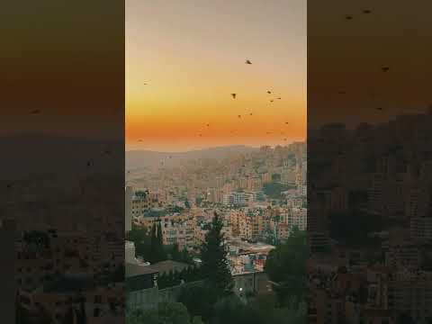 غزه في يوم التحرير لبست للعرس ثيابا