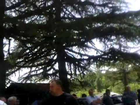 შ.ს.ს მინისტრის მოადგილე ლევან იზორია ჩხოროწყუს „ქართული ოცნების“ „განადგურებას“ განაგრძობს