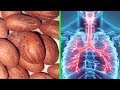 10 Benefits of Bitter Kola You didn't Know