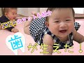 歯が生えたよ！【生後６ヶ月赤ちゃん】｜IKEAのマットもご紹介｜My 6-month-baby's teething!