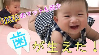 歯が生えたよ！【生後６ヶ月赤ちゃん】｜IKEAのマットもご紹介｜My 6-month-baby's teething!