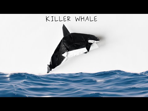 Origami - Orca Killer Whale Epaulard シャチ (Satoshi Kamiya) - YouTube