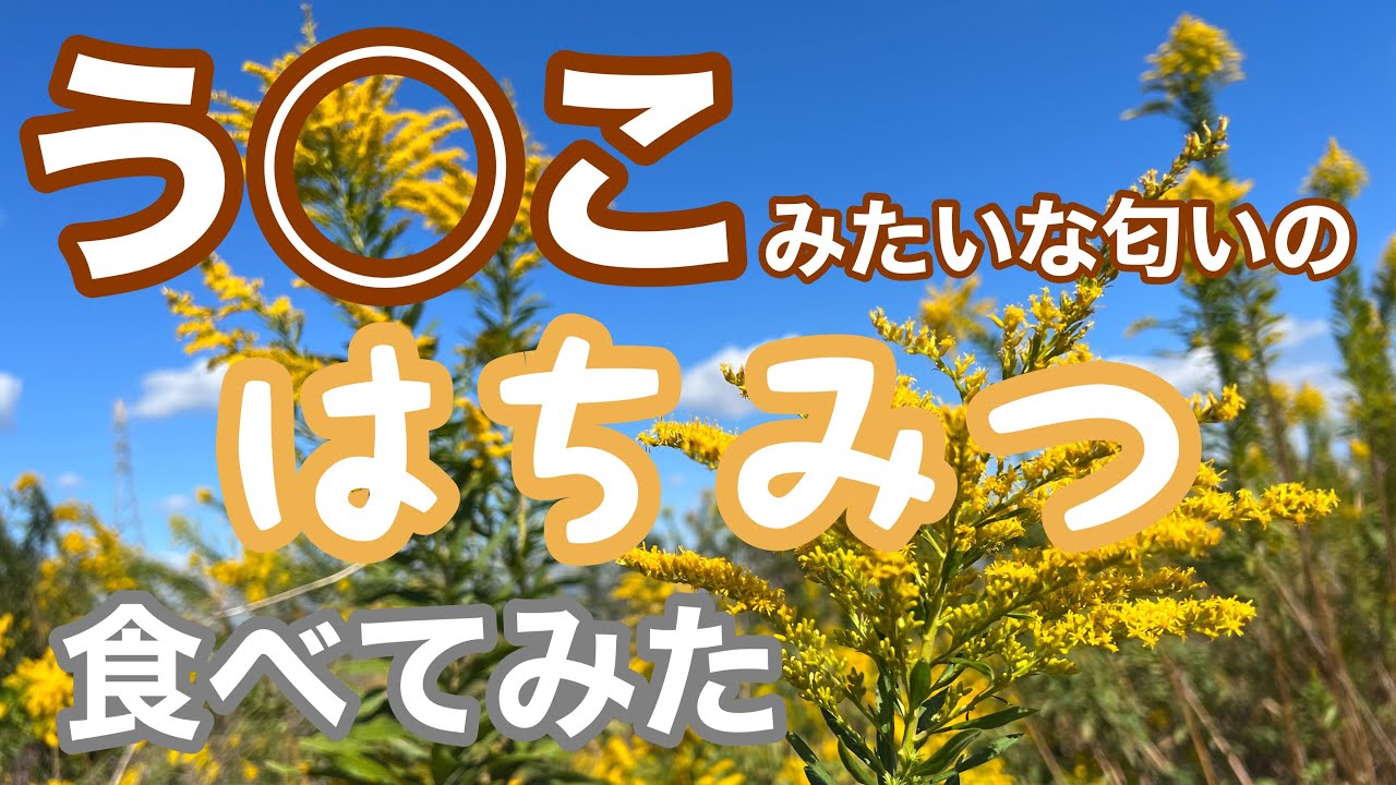 Goldenrod] I Tried Eating Smelly Honey - YouTube