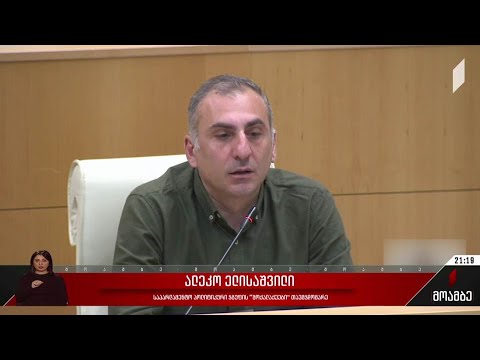 უკრაინის მხარდაჭერა - განცხადებები პარლამენტში